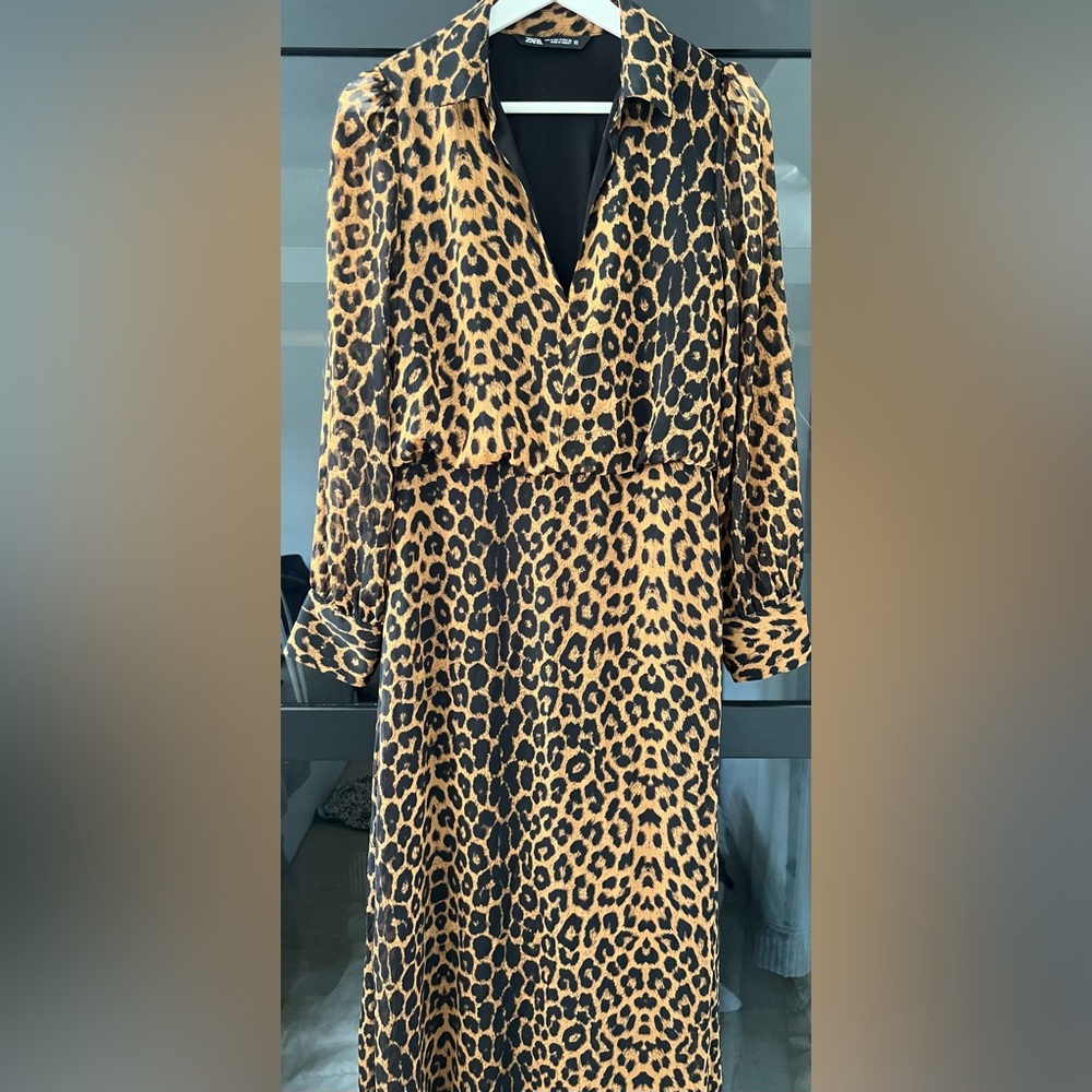Zara dress